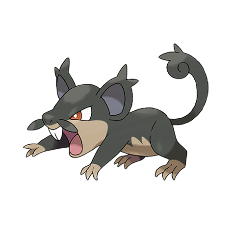 Rattata Alolan Form