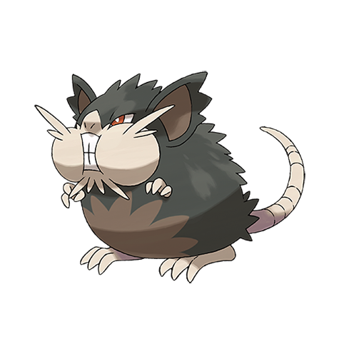 Raticate Alolan Form