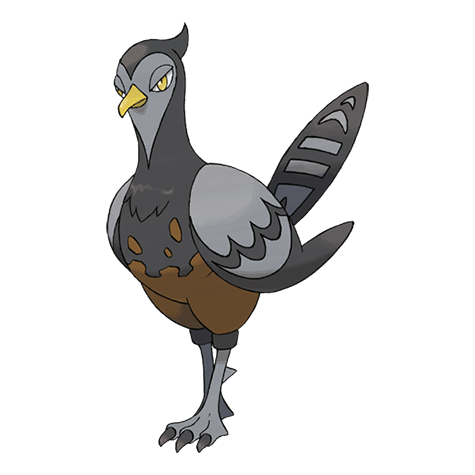 Female Unfezant