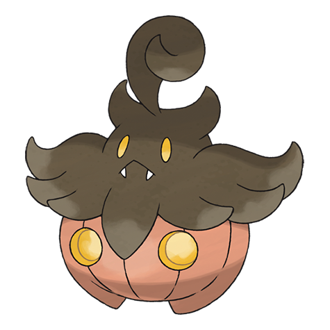 Small Variety Pumpkaboo